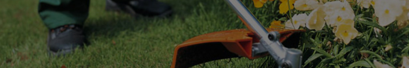 Terceirização de Jardinagem em SP